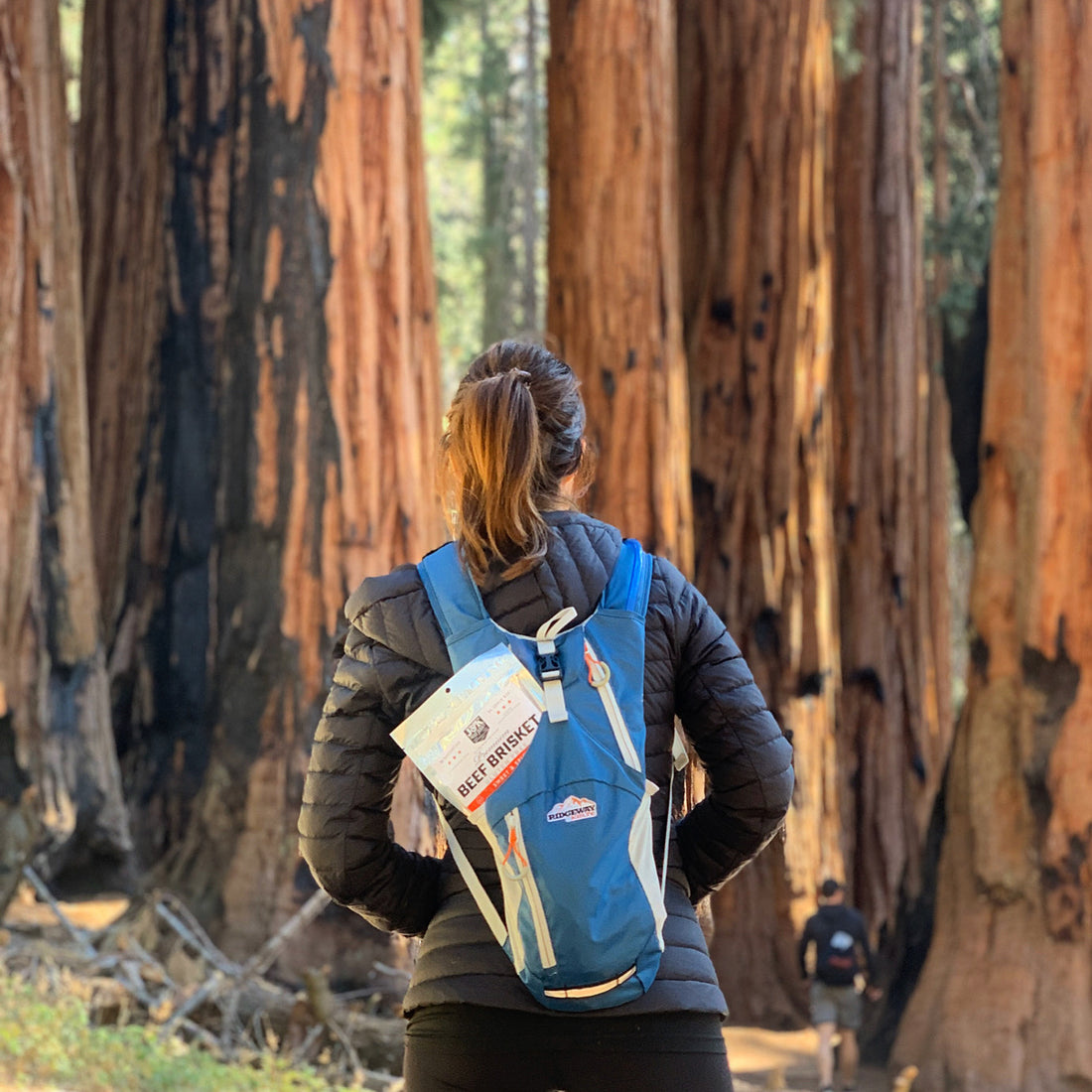The Perfect Hiking Snack